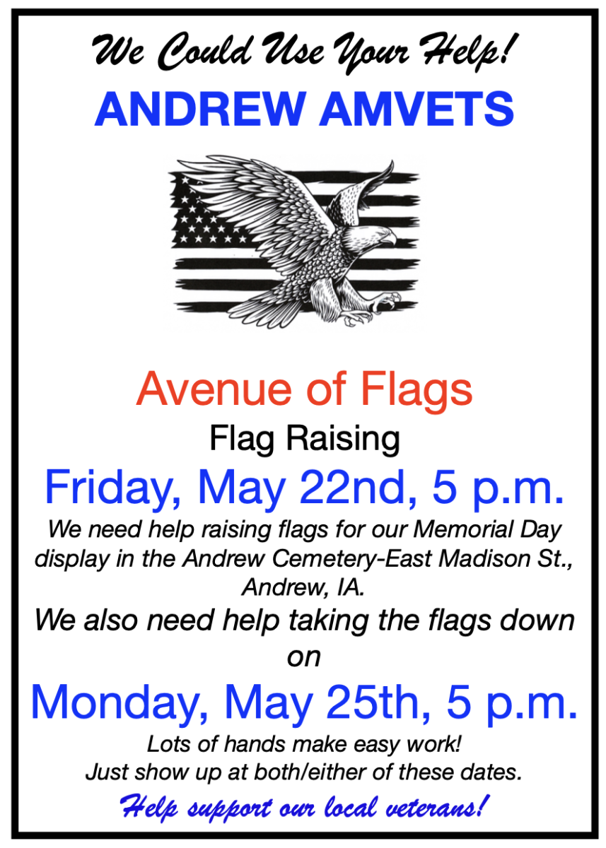 Andrew AMVETS Avenue of Flags